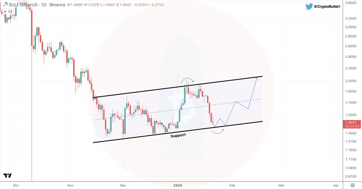 CryptoBullet tweet media