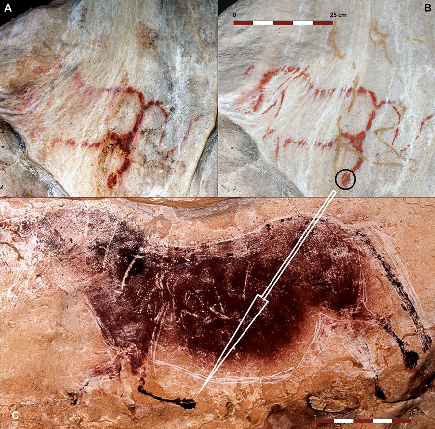 MULTIPALEOIBERIA ERC Project tweet media