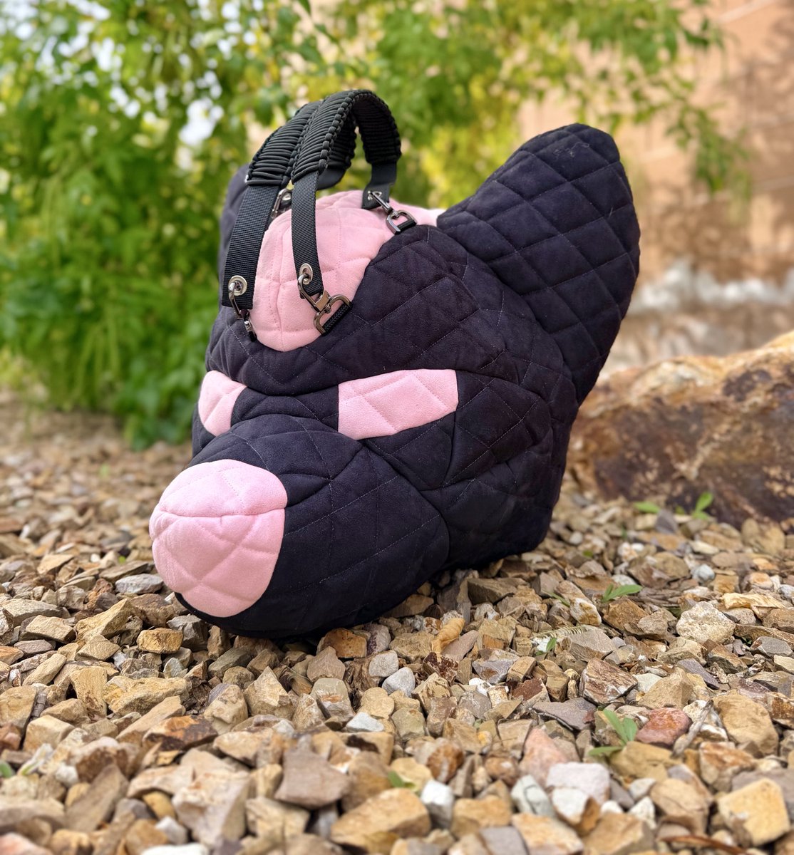 All Bark No Bite! tweet media