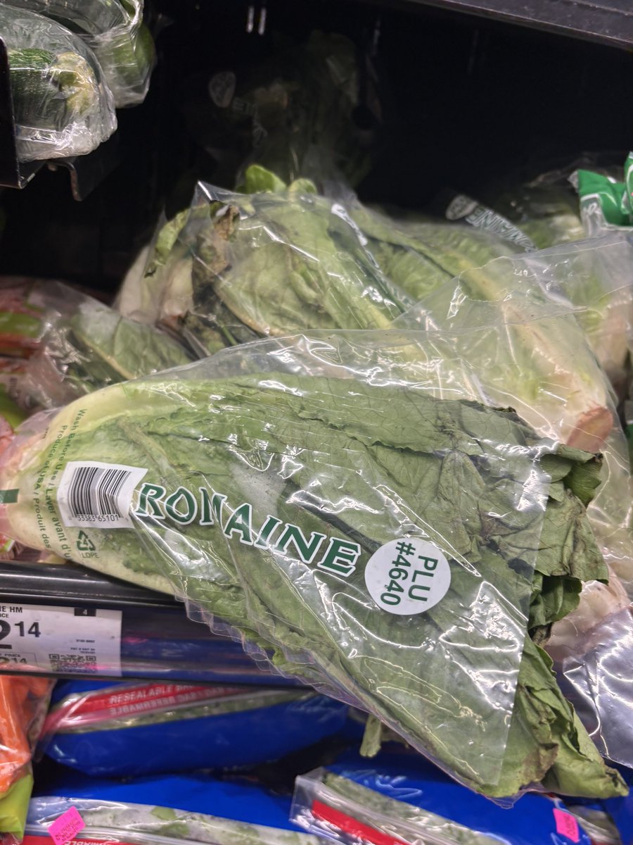 NiQole1776's tweet image. Hey @Walmart I have 5 guinea pigs and not one will eat this black garbage you call lettuce. Are you trying to get people sick or what?