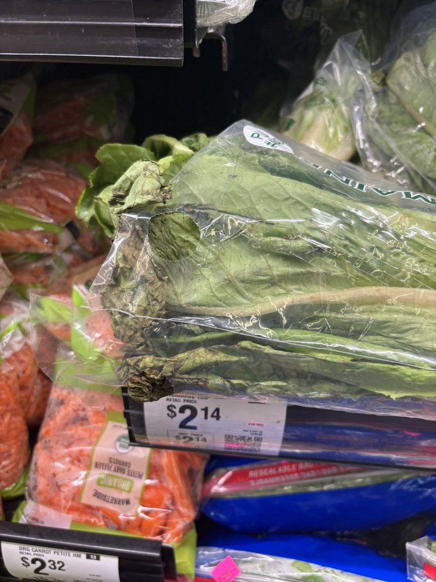 NiQole1776's tweet image. Hey @Walmart I have 5 guinea pigs and not one will eat this black garbage you call lettuce. Are you trying to get people sick or what?