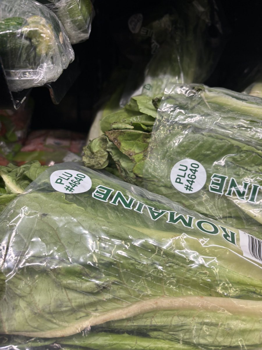 NiQole1776's tweet image. Hey @Walmart I have 5 guinea pigs and not one will eat this black garbage you call lettuce. Are you trying to get people sick or what?