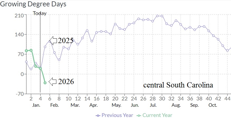 Predict N7 tweet media