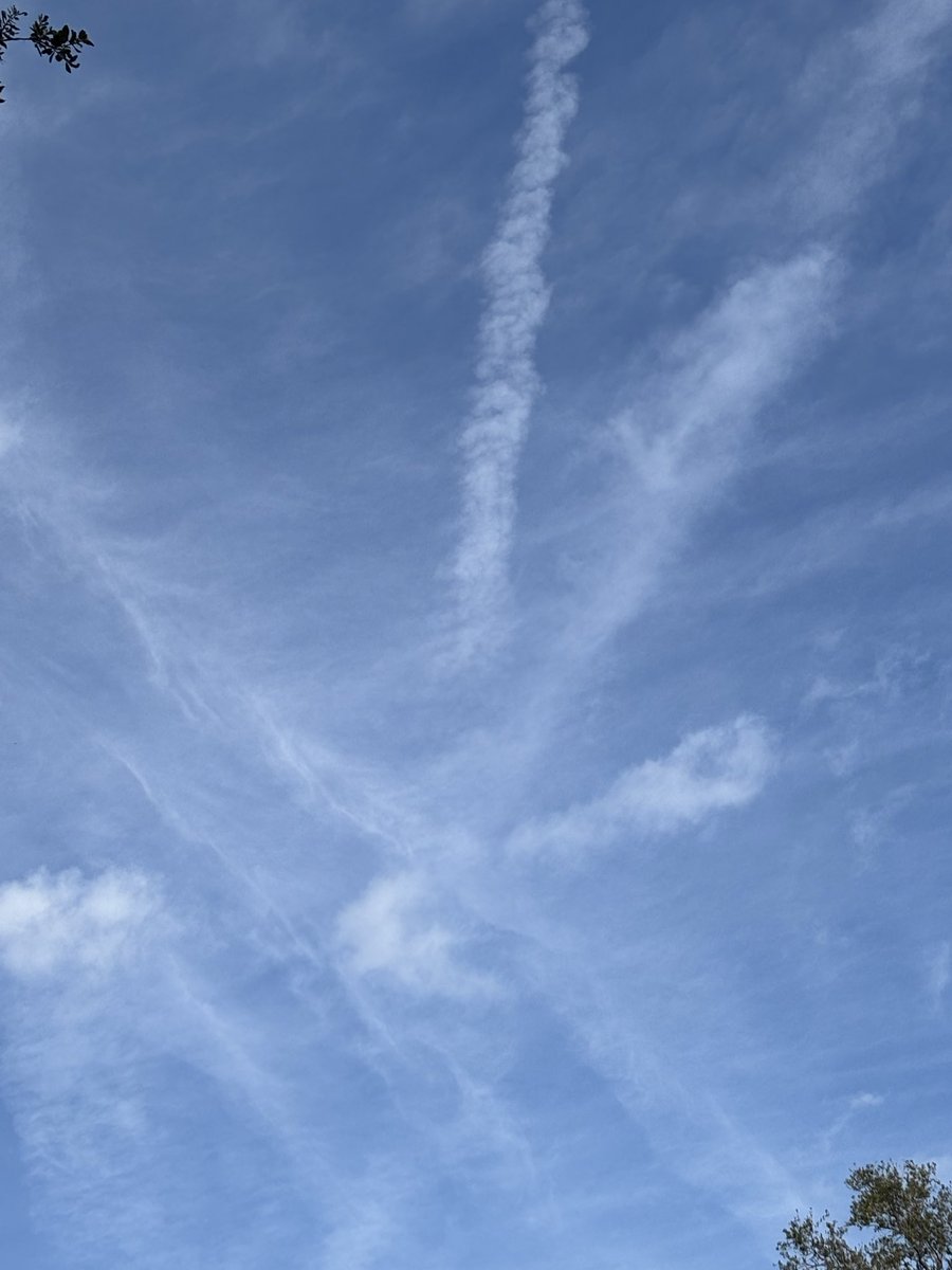 HartlineHeidi's tweet photo. I’m frustrated! Chem trails up and running today! 6 reports in an hour until they filled the sky with poisonous clouds. Every single large plane dumped as they flew by. I couldn’t keep up! https://t.co/tZfdbGe4I8