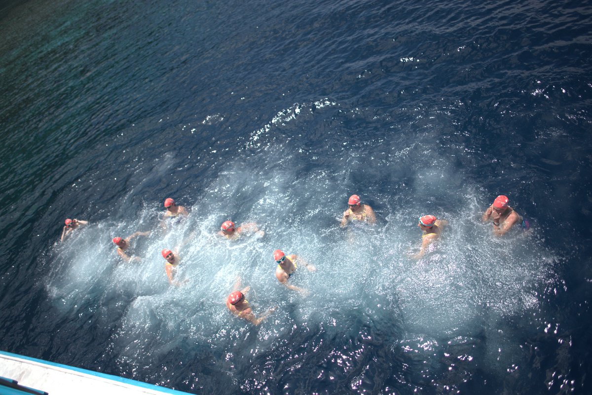 Swim among the tropical islands of the Bunaken National Park at the beating heart of the 'Coral Triangle'! 🪸🏊‍♀️
Book your 2026 safari 👉 oceanswimsafaris.com/products/sulaw…
📍 Sulawesi, Indonesia