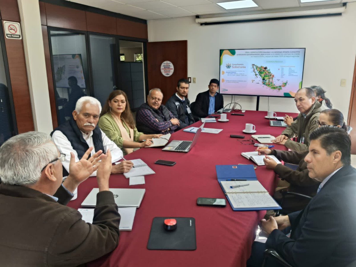Sader Michoacán tweet media