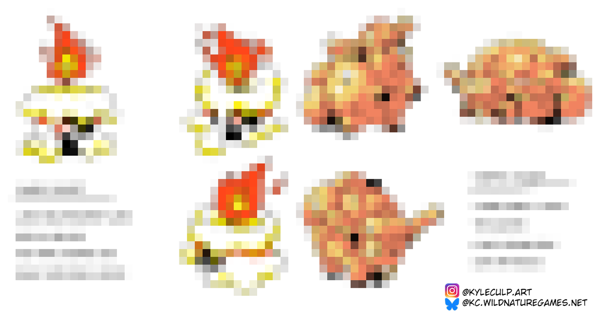 MonTamer KC 🥚 Wild Nature tweet media