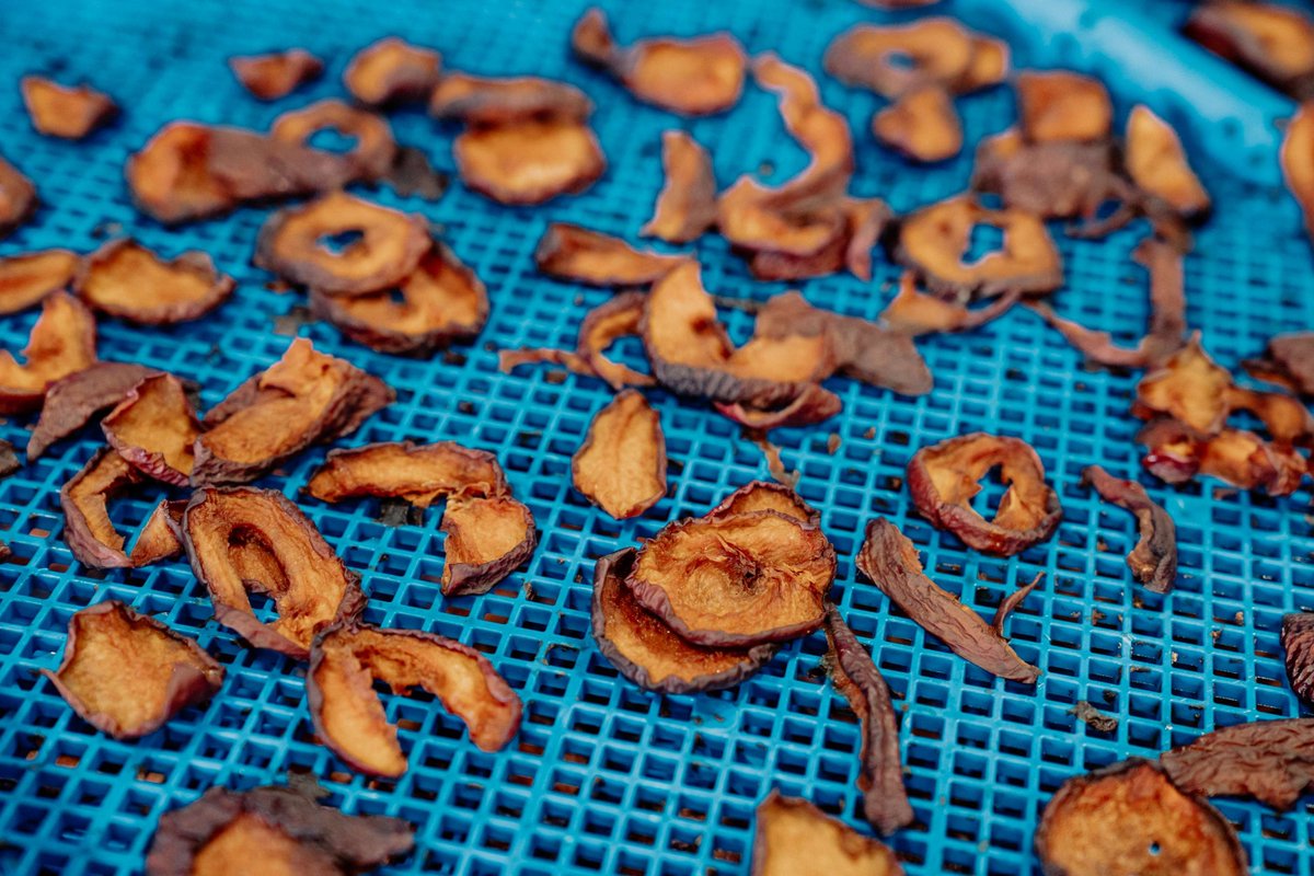 The Ugly Co. tweet media