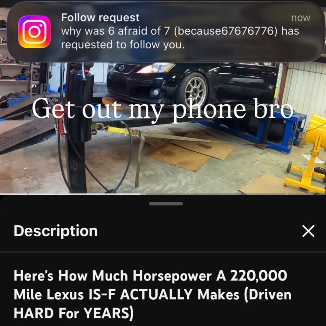 Braindead Bird App (@tragicbirdapp) on Twitter photo 