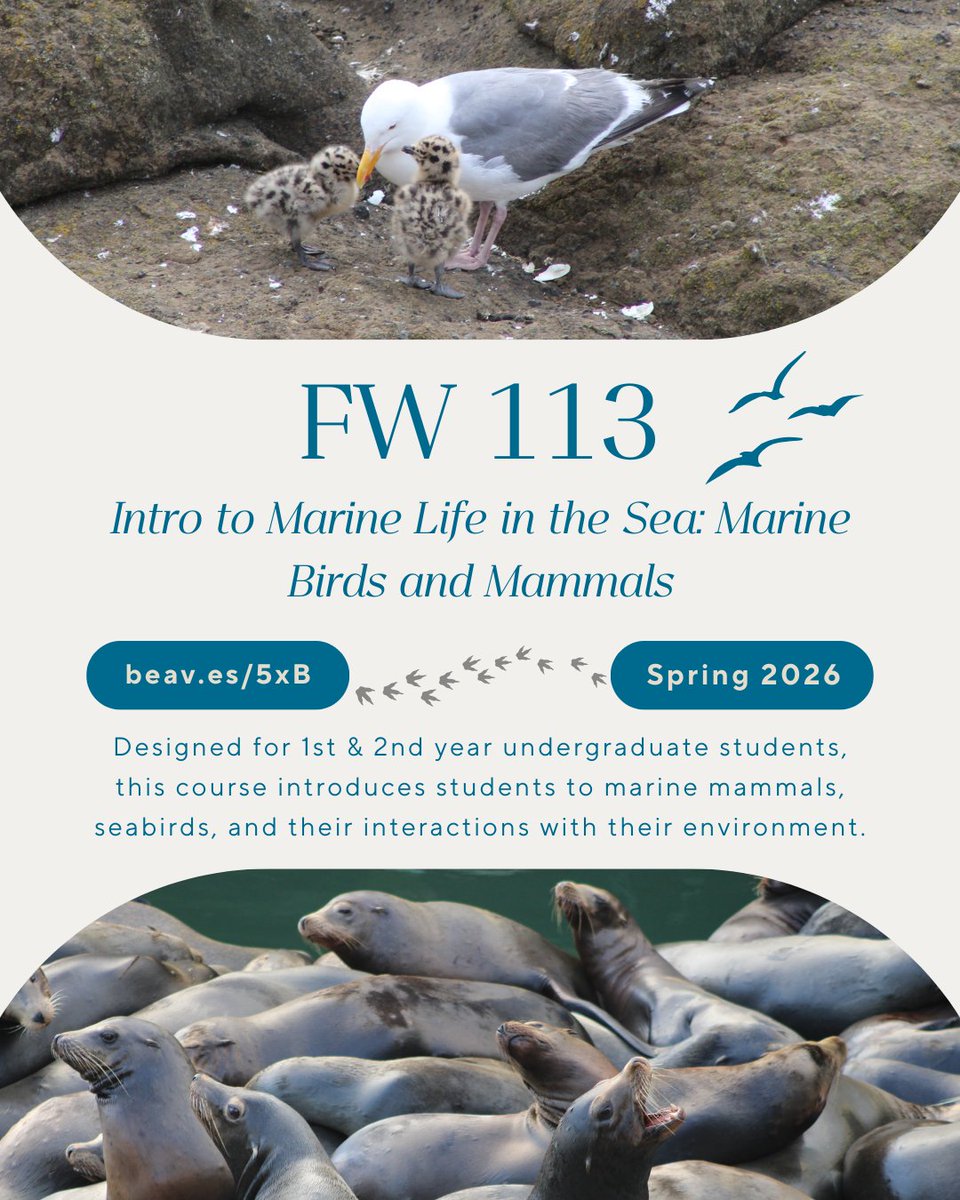 Marine and Coastal Opportunities - OSU tweet media