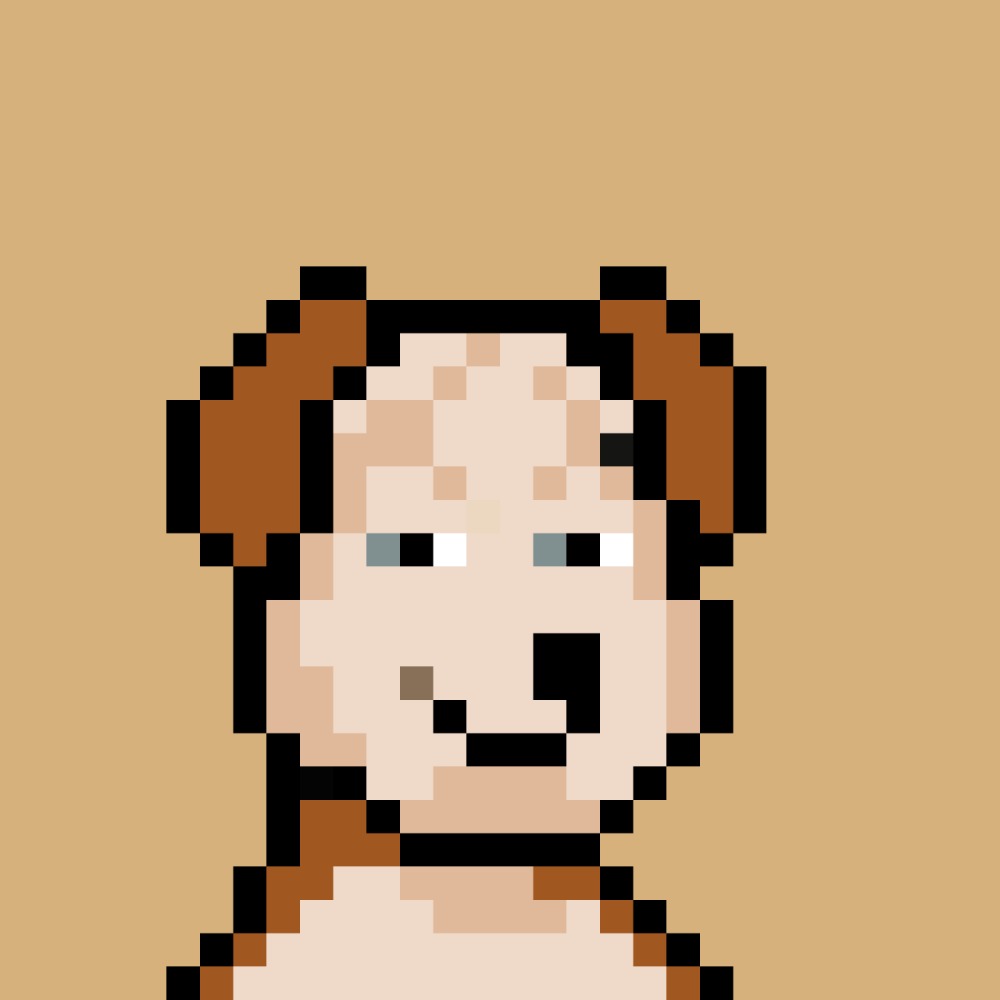 Seo Expert tweet media