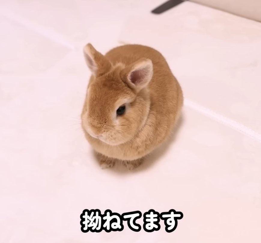 _seiru's tweet image. 