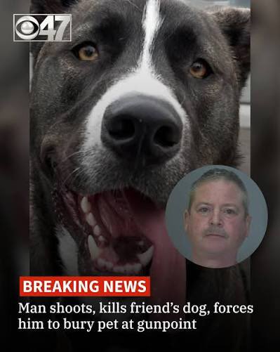 Alphinies tweet media