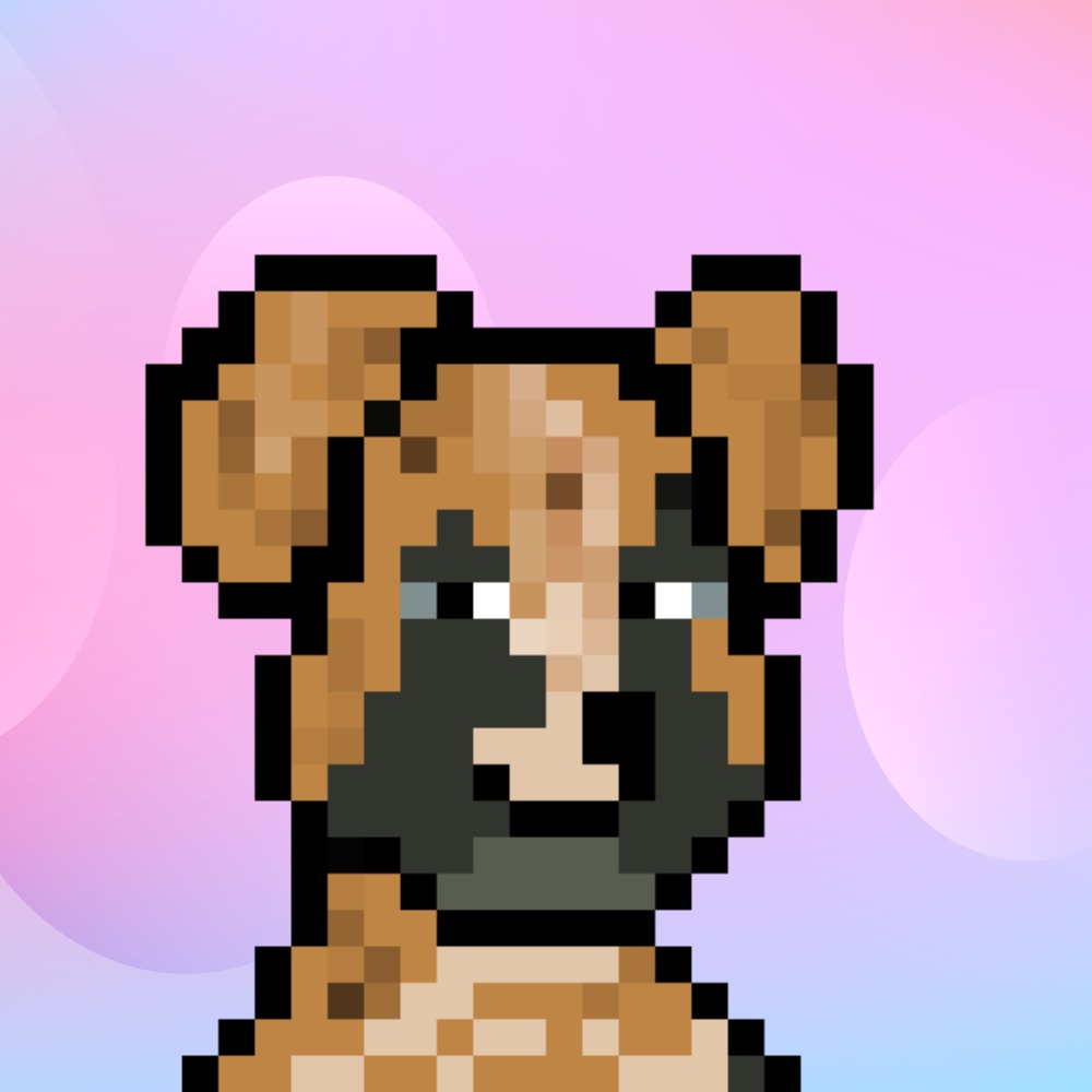 Seo Expert tweet media