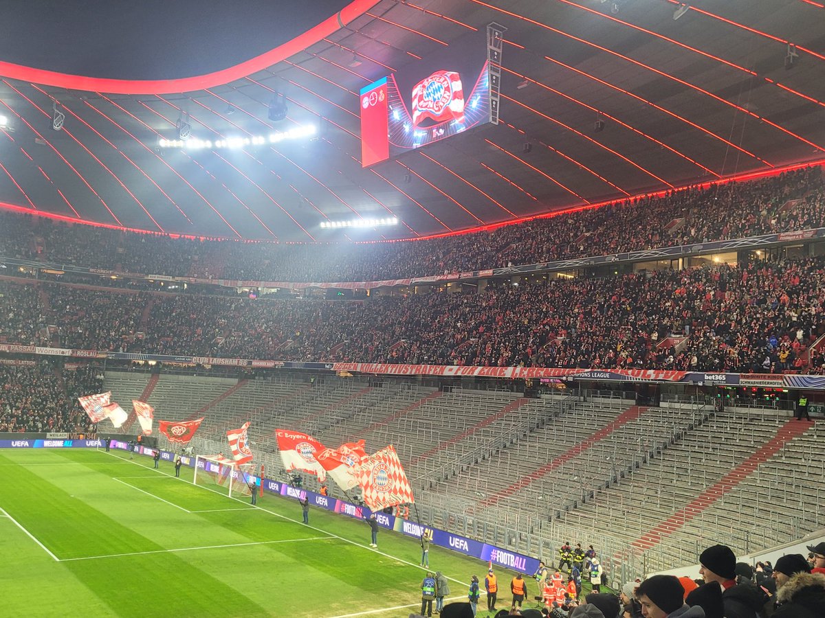 Patrick Strasser tweet media