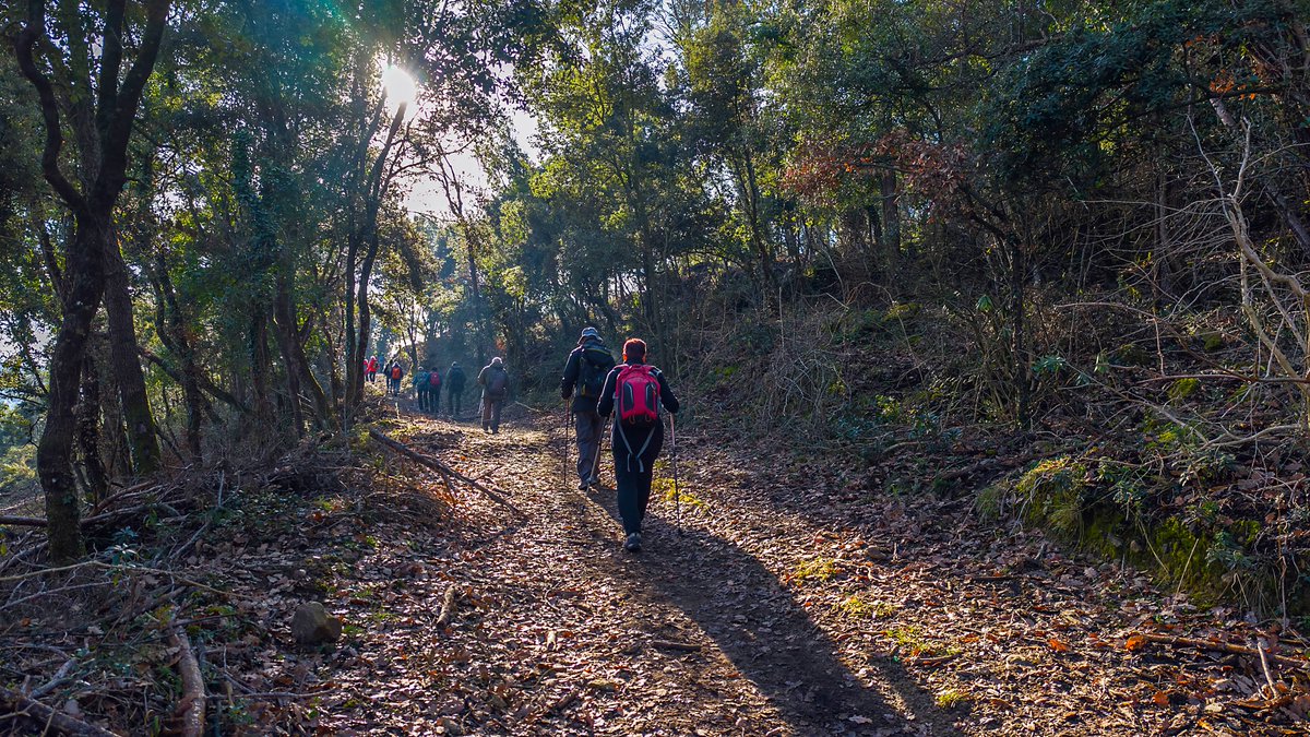 14/01 2025 SORTIDA EN DIMECRES: UN TOMB PEL CASTELL DE CENTELLES

Comencem les Sortides en Dimecres del 2026 amb una excursió apta per tothom, sense distàncies llargues ni desnivells excessius, pujant al Castell de Centelles, una caminada d'aquelles d'abans de quan érem joves.