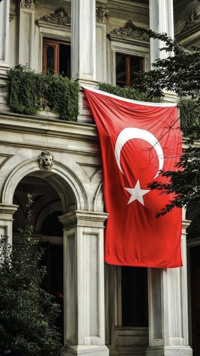 𝓔𝓯𝓷𝓪𝓷✨ tweet media