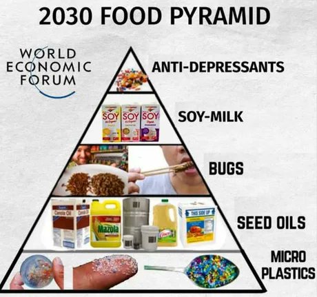 KJW (@hawkesbay69) on Twitter photo 