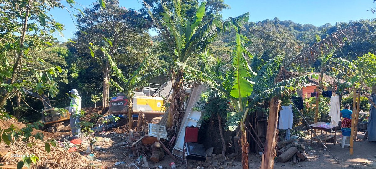 MalaYerba tweet media