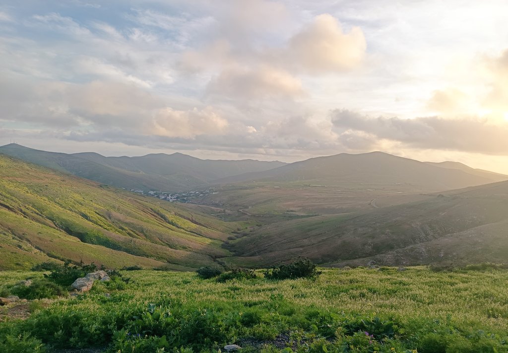 #Fuerteventura bonita. 🤩🤩

Que agradecida es esta tierra cuando le llega algo de agua.