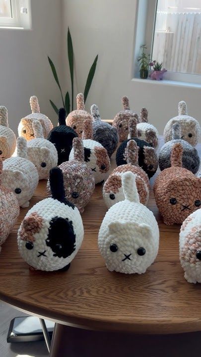 cutedreamvibes's tweet image. 