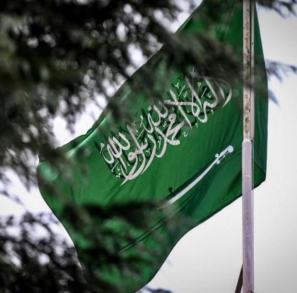 حب السعودية واجب على كل مسلم يقول 
#لاإله_إلا_الله_محمد_رسول_الله . •••