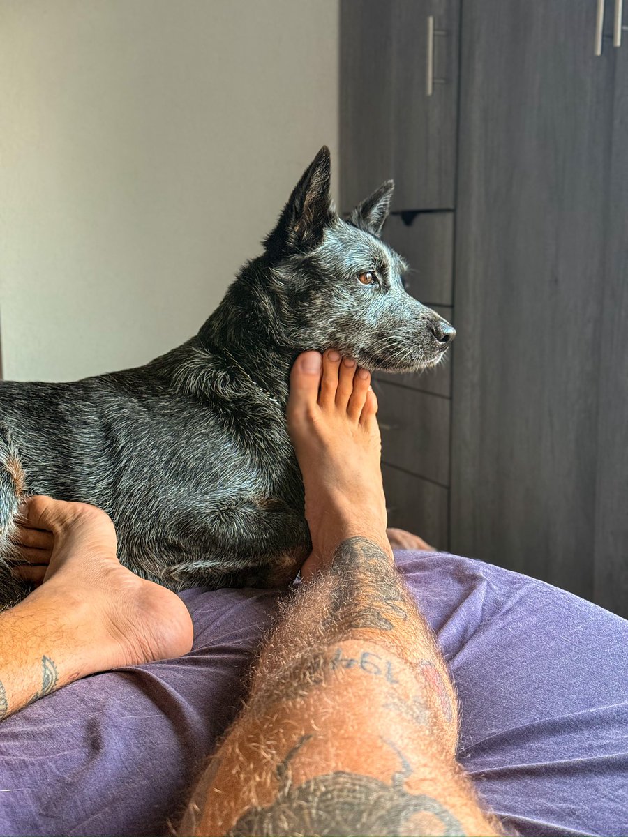 Edgararturoht's tweet photo. 🐶 🦶🏻🦶🏻🥰 https://t.co/vmQuQS3192