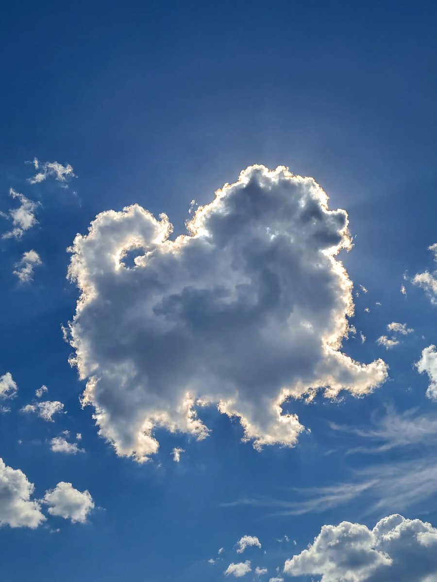 Doggy Mix (@pawprintsdaily6) on Twitter photo 