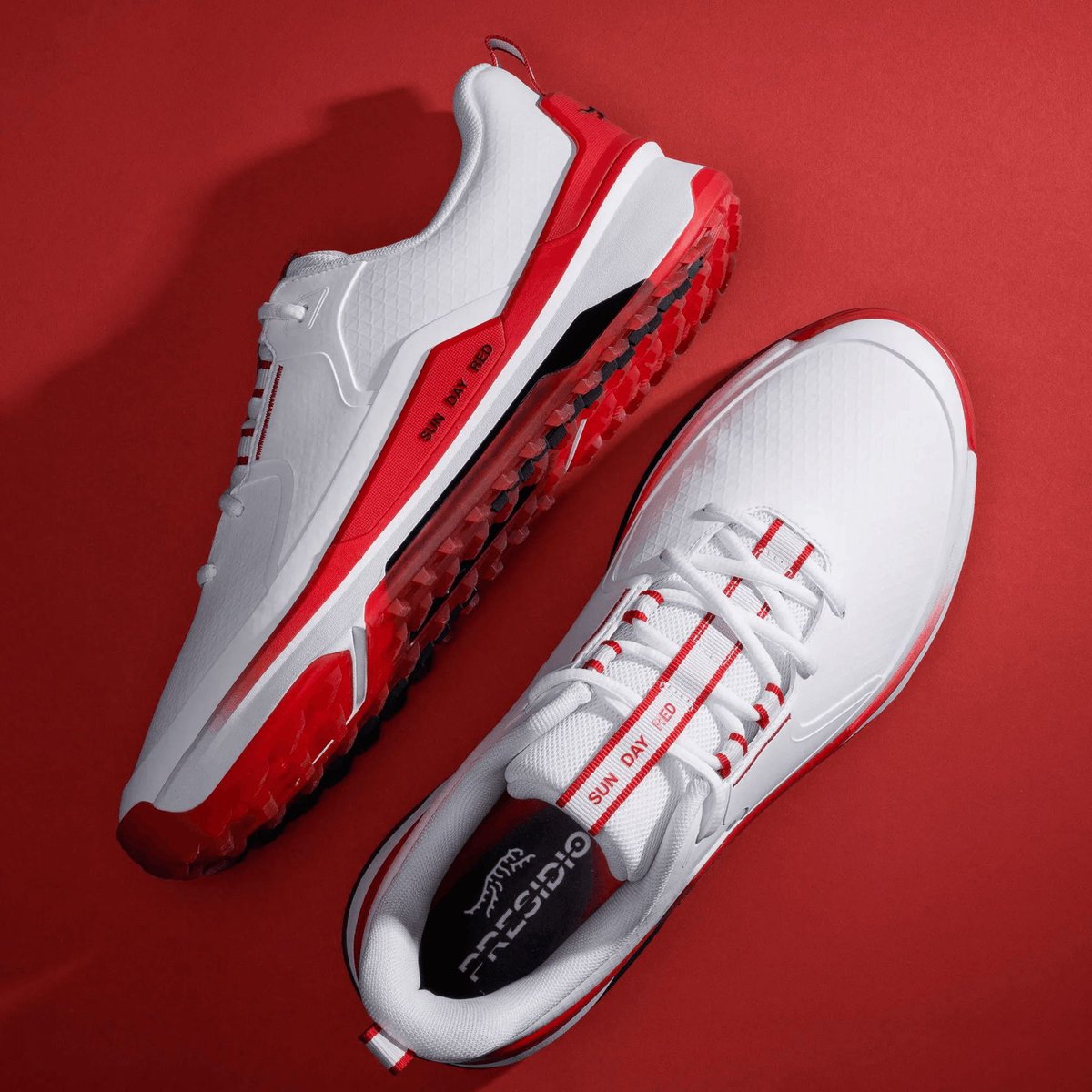 MYGOLFSPY tweet media