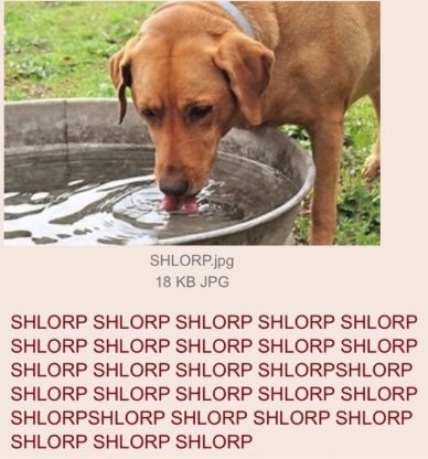 OverInDover's tweet image. 