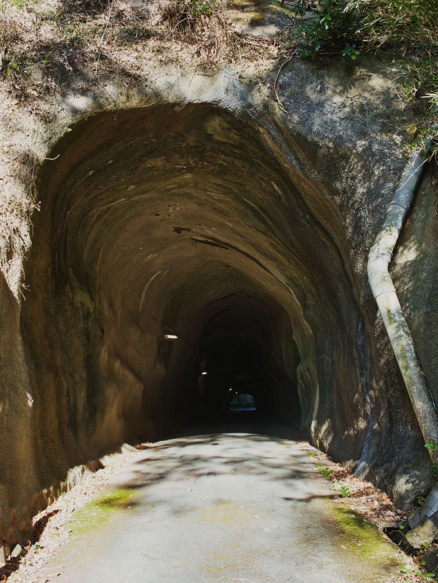 おはようございます。                      

#EーM5III 
#ファインダー越しの私の世界 
#iwakicameraclub