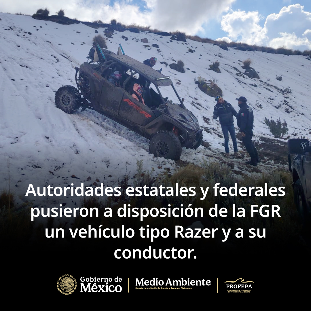 PROFEPA_Mx's tweet image. 🚨 Ésta es la primera vez que la Profepa en el Estado de México, en coordinación con la Policía Estatal, la @CONANP_mx  y la @FGRMexico, realiza la puesta a disposición de una persona por transitar con un vehículo razer dentro de una Zona de Protección de Flora y Fauna del Nevado…