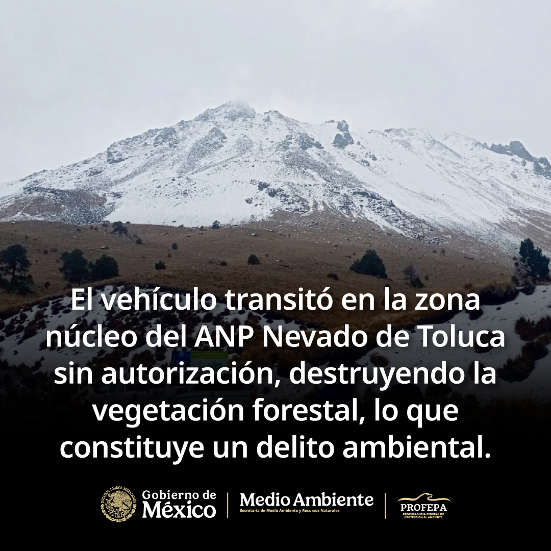 PROFEPA_Mx's tweet image. 🚨 Ésta es la primera vez que la Profepa en el Estado de México, en coordinación con la Policía Estatal, la @CONANP_mx  y la @FGRMexico, realiza la puesta a disposición de una persona por transitar con un vehículo razer dentro de una Zona de Protección de Flora y Fauna del Nevado…