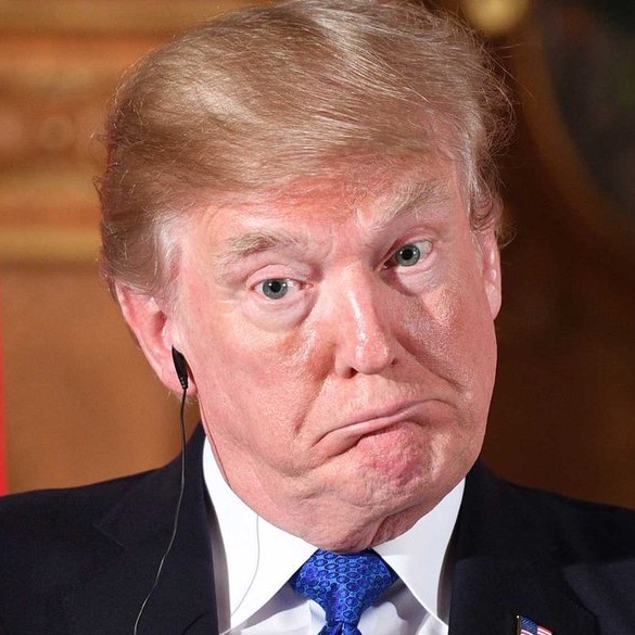 anyonewantchips's tweet image. So the dementia riddled mob boss who confused E Jean Carroll with Marla Maples &amp;amp; Nancy Pelosi with Nikki Haley &amp;amp; Joe Biden with Barack Obama &amp;amp; Melania Trump with Mercedes Schlapp - confused Greenland with Iceland - but do go on about Joe Biden’s mental acuity.