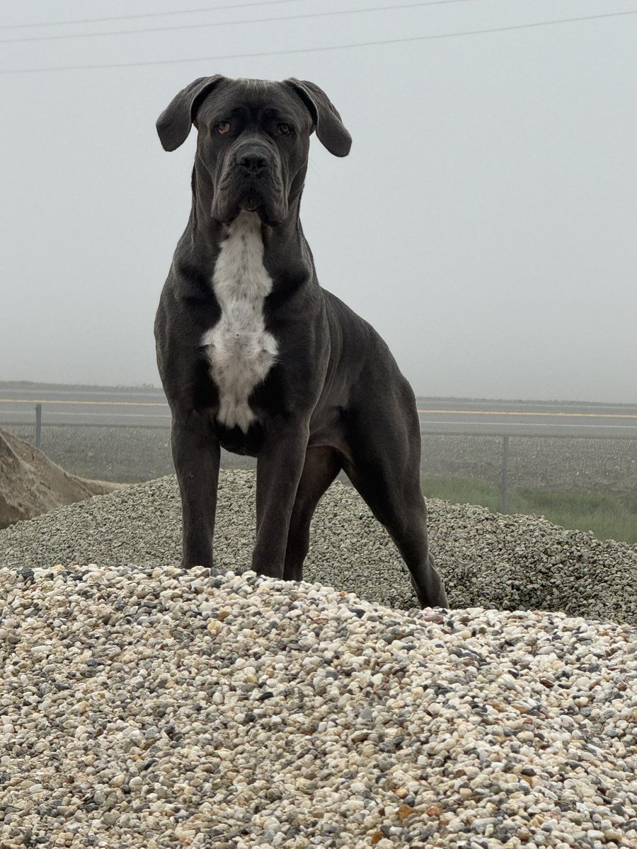 Oh my heart…. She was so little. 🥺😢😭❤️