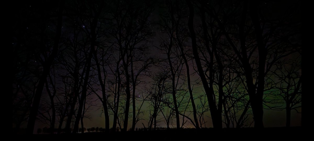 FreeWolf (@johnlocke1125) on Twitter photo 