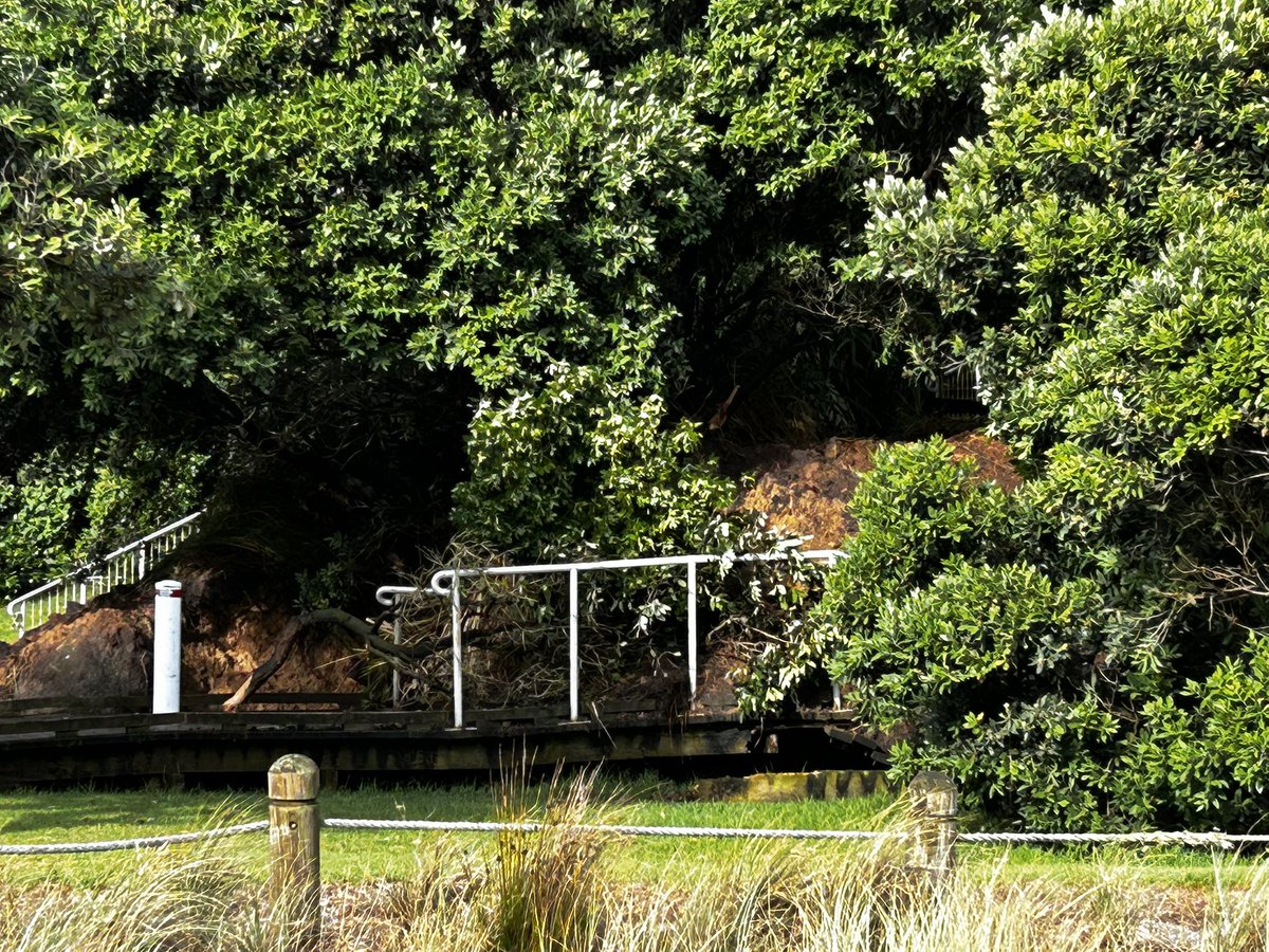 Glen 🔴⚫️ tweet media