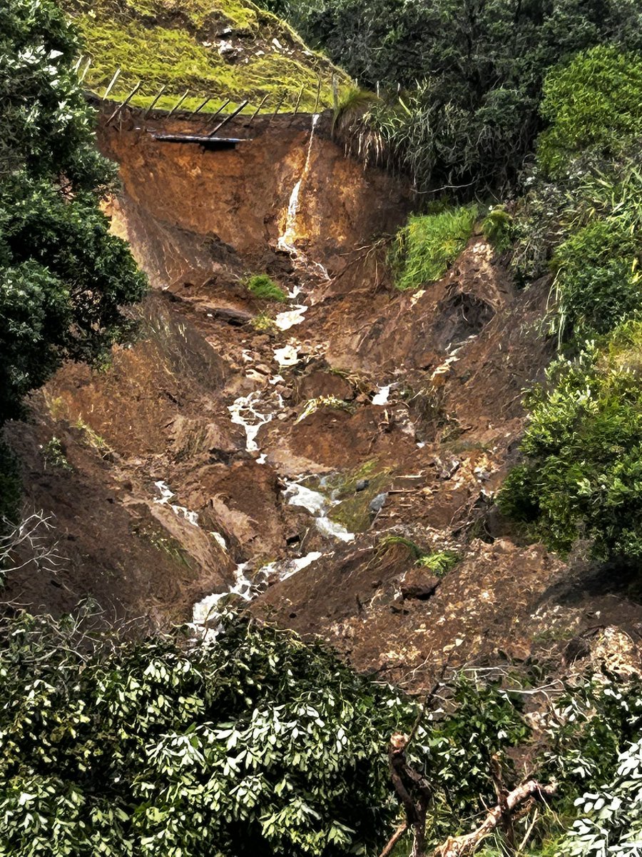 Glen 🔴⚫️ tweet media