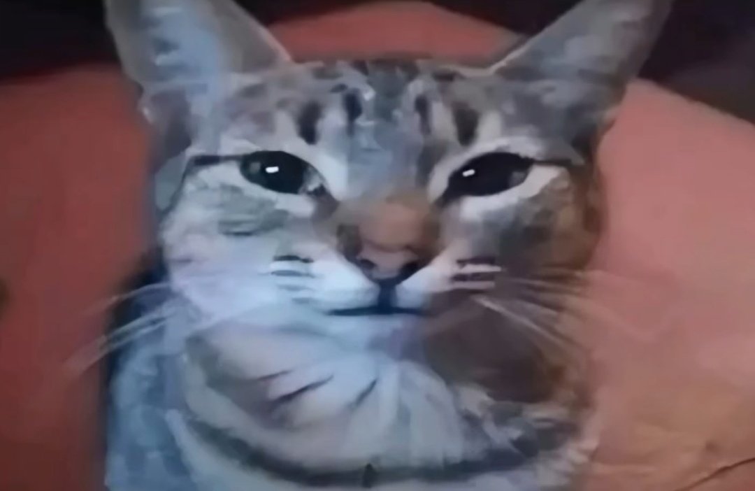 como m quedo en plena conversacion pq disocio y no estoy entendiendo nada