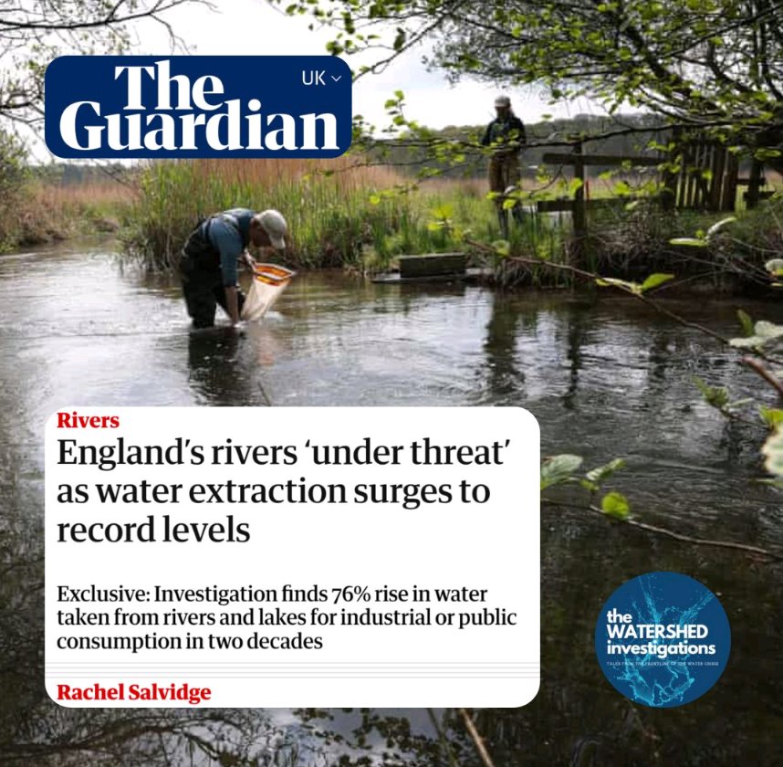 leanahosea tweet media