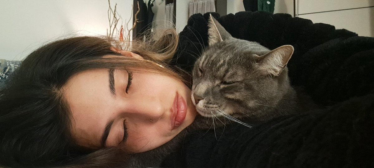 GirlyAle02's tweet image. Show me your cats 🐱💖