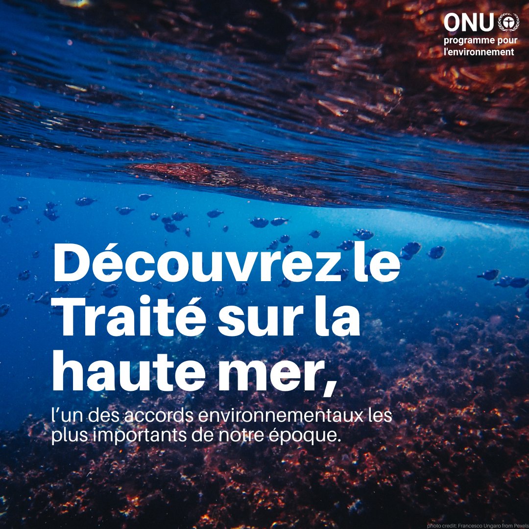 La moitié de notre planète n’était pas protégée. Jusqu’à présent.

Ce mois-ci, l’Accord BBNJ, aussi appelé #TraitéSurLaHauteMer, entre en vigueur — une avancée majeure pour le multilatéralisme, notre planète et les communautés qui dépendent de l’océan.

unep.org/unep-and-bbnj