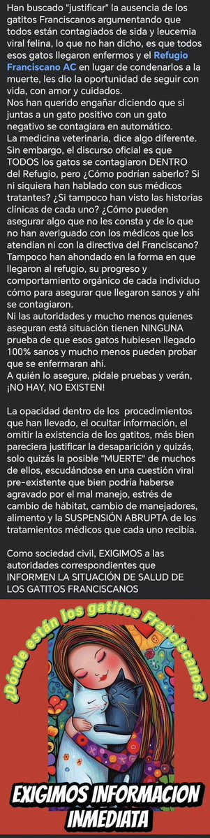 Abi94869717's tweet image. Exigimos transparencia, información sobre los 39 gatitos del refugio franciscano... @GobCDMX , @ClaraBrugadaM , ya déjense de tonterías y entreguen a los gatitos y perritos del Refugio Franciscano... Están en desacato 😡😡😡😡