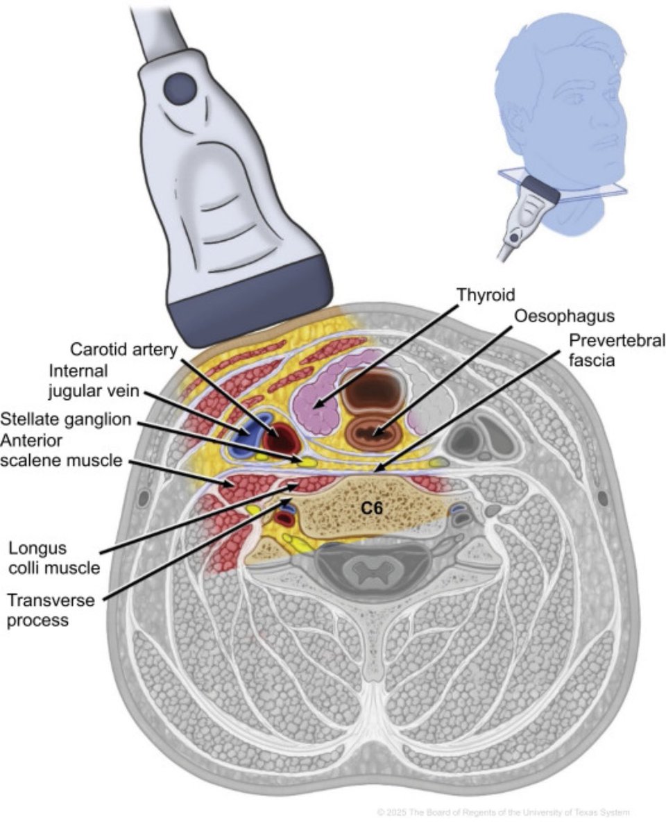 🩺 Hari (హరి 🇮🇳) Kalagara tweet media