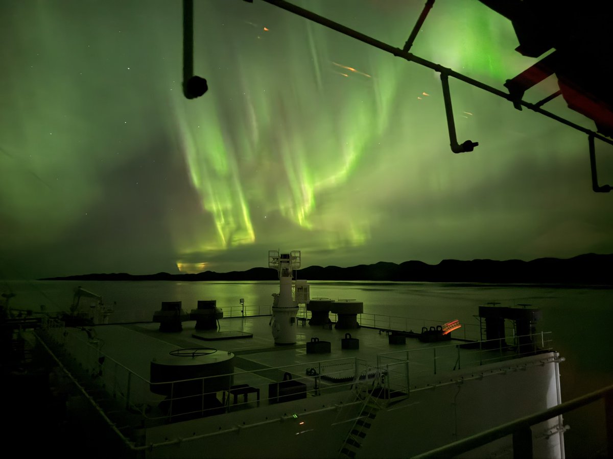 Dave Willows 🇨🇦 tweet media