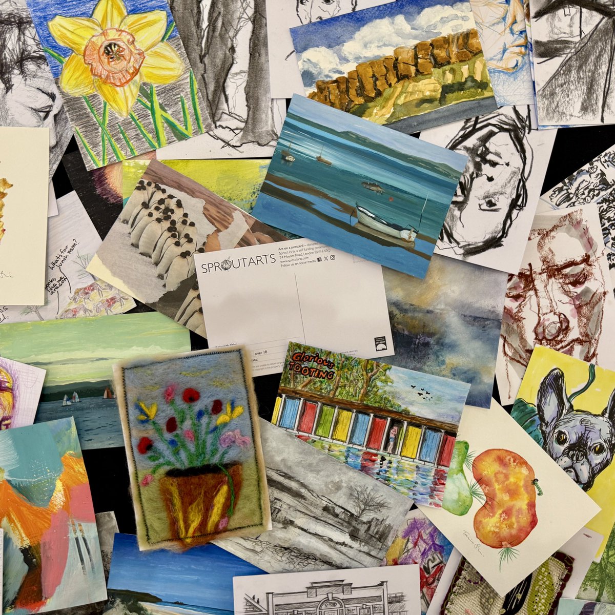 Sprout Arts tweet media