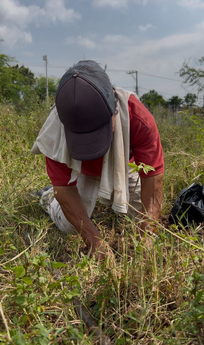 VeoliaValle's tweet photo. En #Vijes nos articulamos con la Administración Municipal y la UMATA para la campaña “Transformamos a Vijes desde lo ambiental” 🌱♻️ https://t.co/oQ0AUHEch2