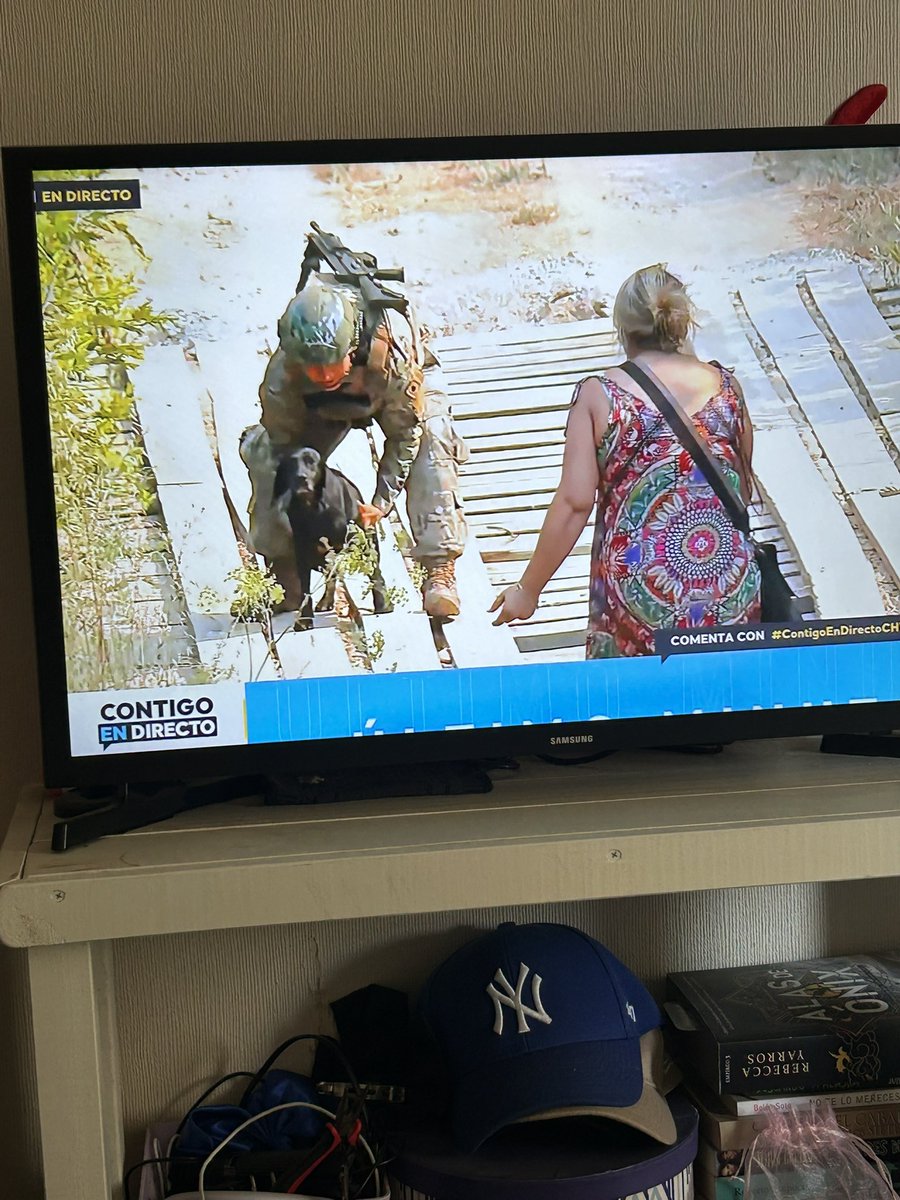 Una señora recién en la tele comentaba que no pudo evacuar a dos de sus perritos y comenzó el fuego y los milicos subieron a buscarlos, oh hueona soy lágrimas