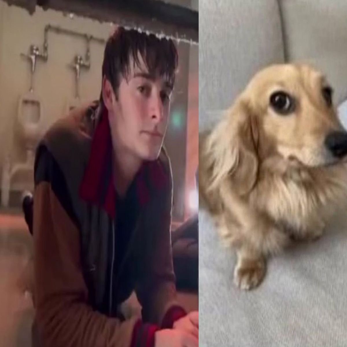 foahthinker's tweet image. looking at me like i did it