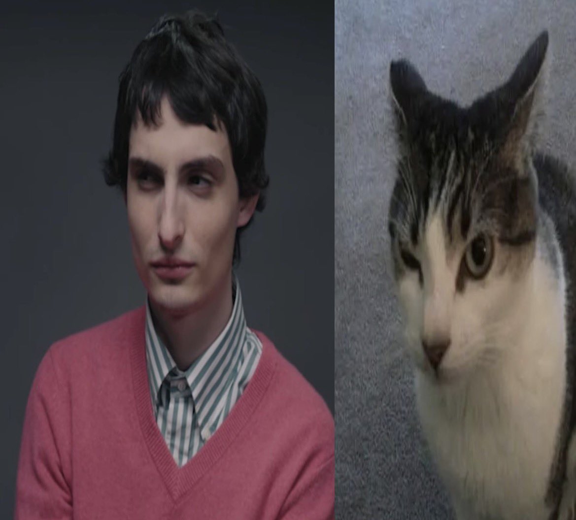 foahthinker's tweet image. looking at me like i did it